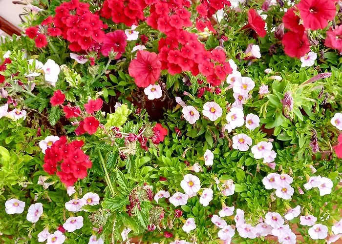 La Casetta Di Mizar Lägenhet